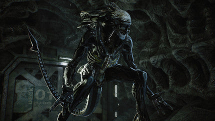 Aliens Fireteam Elite Ultimate Edition Steelbook Outlet