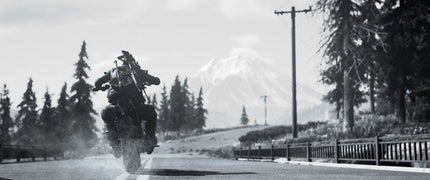 Daysgone DayOne Edition Steelbook Outlet